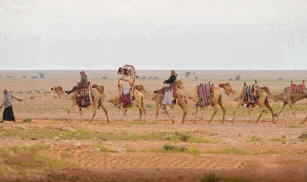 ajel2F2025 07 112Fmdco3vlq2FIMG20250711183518