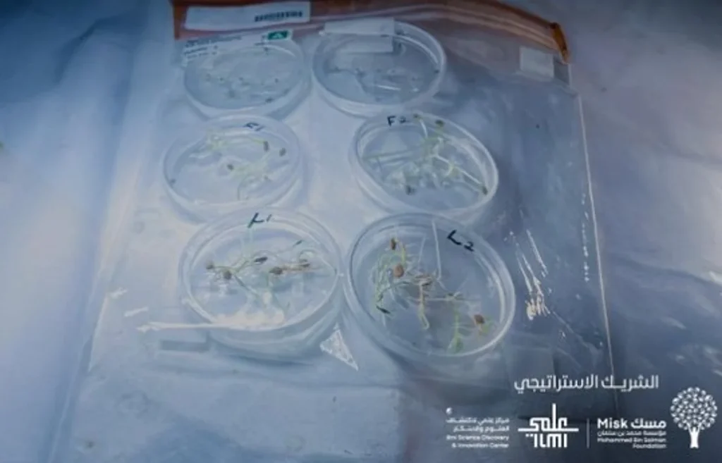 ajel2F2025 07 112Fn39oooed2FIMG 20250711 WA0004