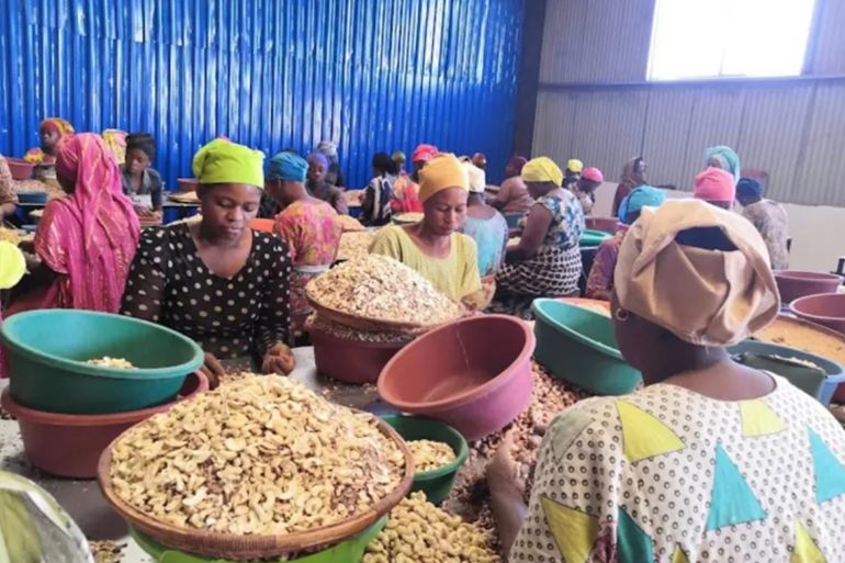 مصريون يجدون "وطنا ثانيا" في تنزانيا بعد الهجرة جنوبا 3 Workers at Mohamad El-Shafei’s cashew processing factory, Mayan Village, Mtwara region, Tanzania @egab.co