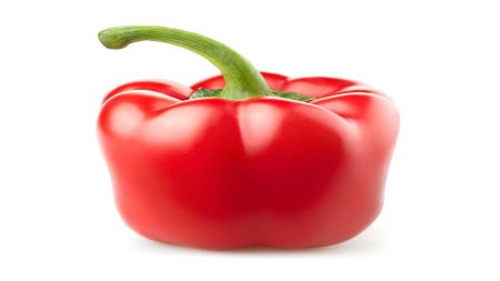 1754750709 image
