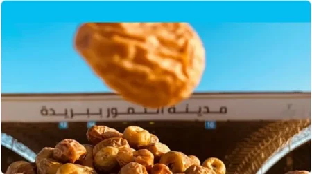 ajel2F2025 08 022Fpc5z2pwd2FD8AAD985D988D8B1