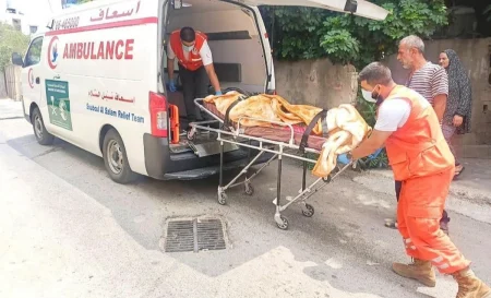 ajel2F2025 08 082F7rjls8c32FIMG20250808220008