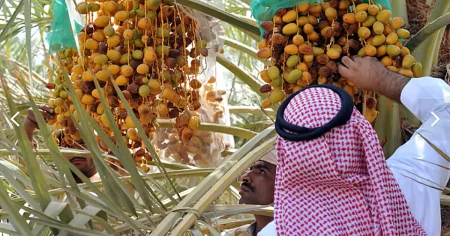 ajel2F2025 08 102Fj4rc5k1p2FD8AAD985D988D8B1 D8AAD985D988D8B1.avif