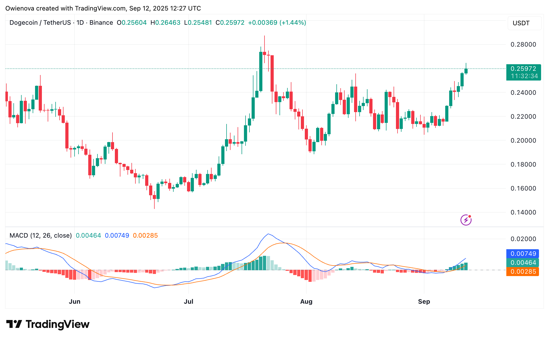 Binance: Dogeusdt Chart Image by Owienova