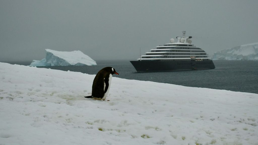 1200x675 cmsv2 411f6f88 2191 5898 b55e 8e75d5b05038 9431738