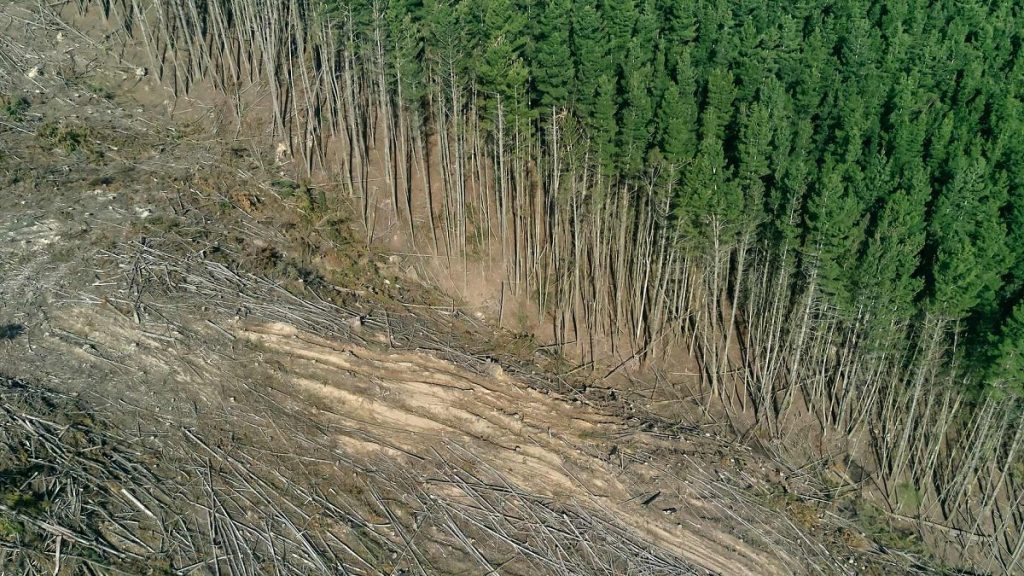 1200x675 cmsv2 875efc31 da37 5511 9f3f f0772591fbc4 9440370