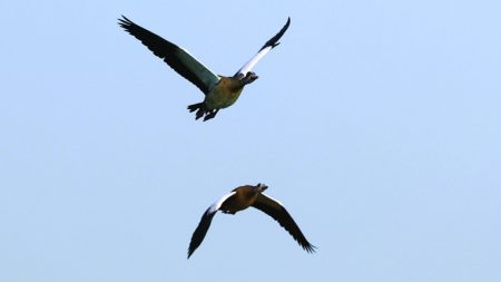 1756968254 image