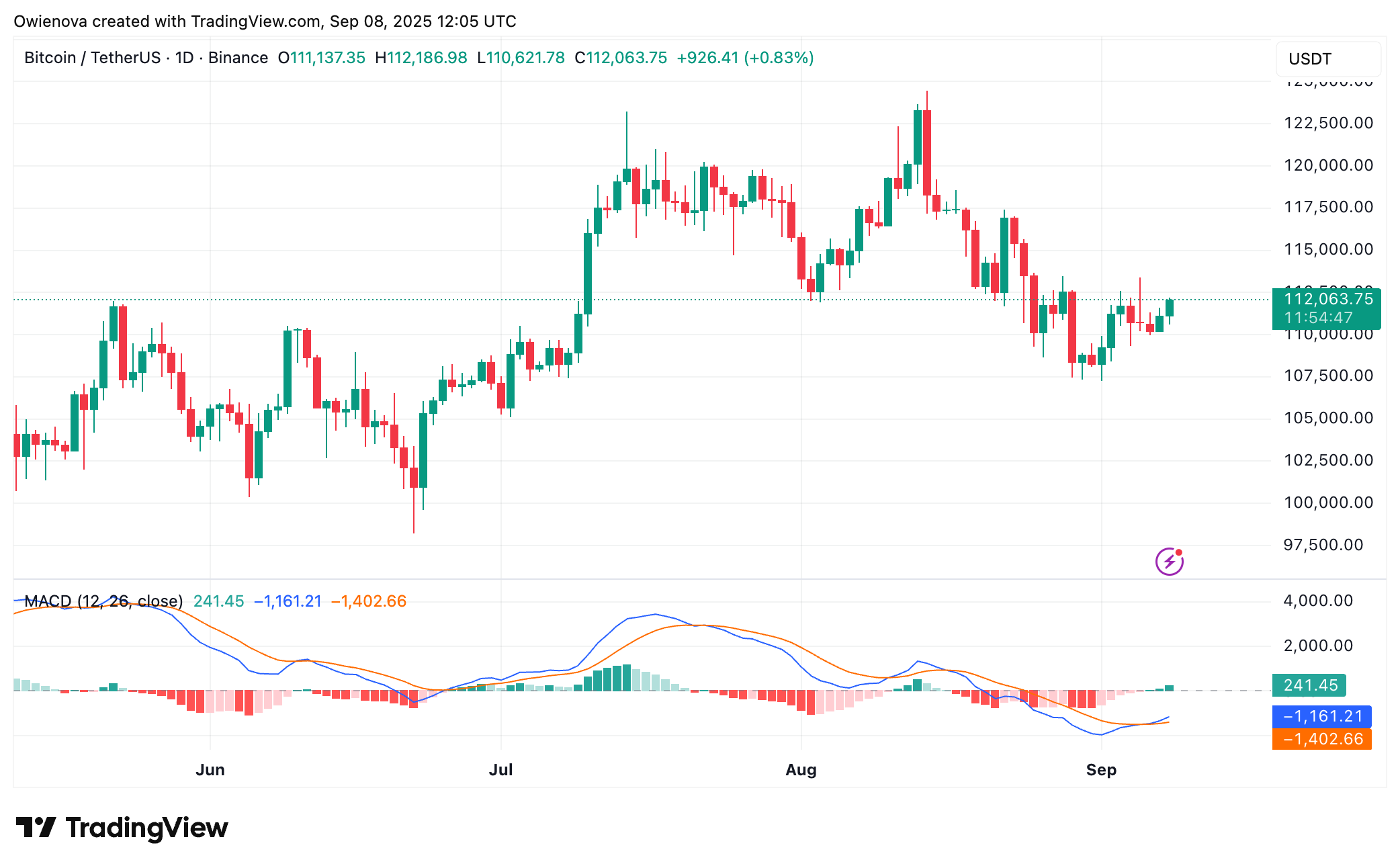 Binance: Btcusdt Chart Image by Owienova