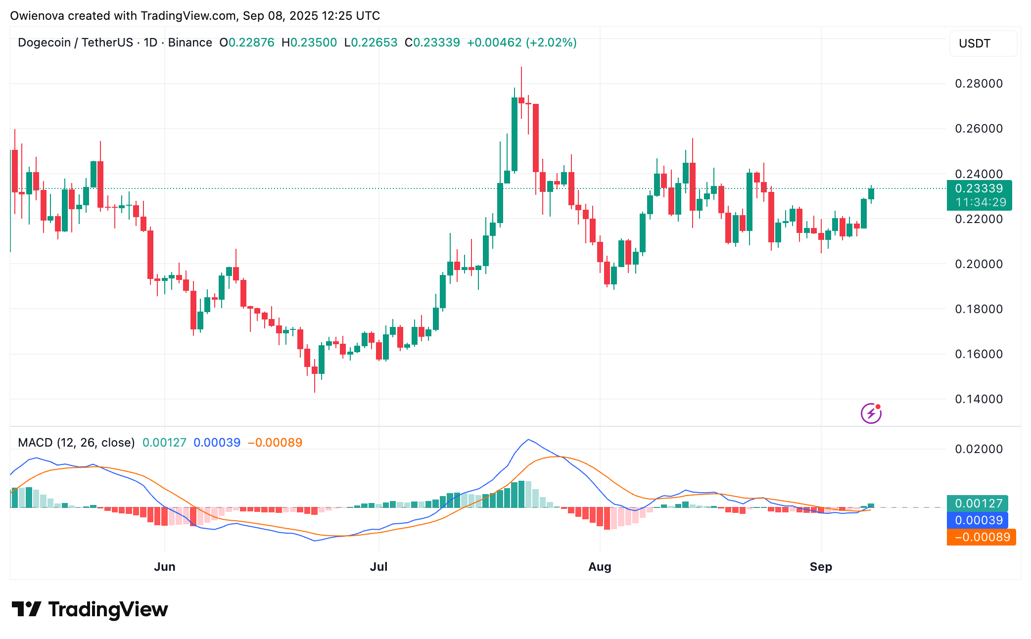 Binance: Dogeusdt Chart Image by Owienova