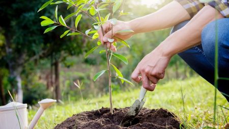 ajel2F2023 022Ff30fcdc8 0e15 4f85 a034 986c2333698a2Fshutterstock 778115377 scaled.webp