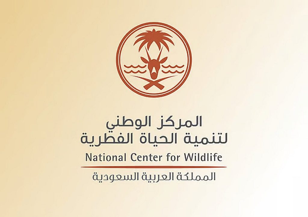 ajel2F2025 09 122F332k45402Fajel2025 09 01gk3kuurnD8A7D984D8ADD98AD8A7D8A9 D8A7D9