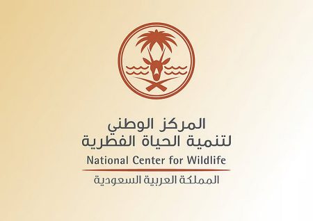 ajel2F2025 09 122F332k45402Fajel2025 09 01gk3kuurnD8A7D984D8ADD98AD8A7D8A9 D8A7D9