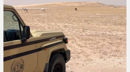ajel2F2025 09 202Fbxly6fh42FCapture
