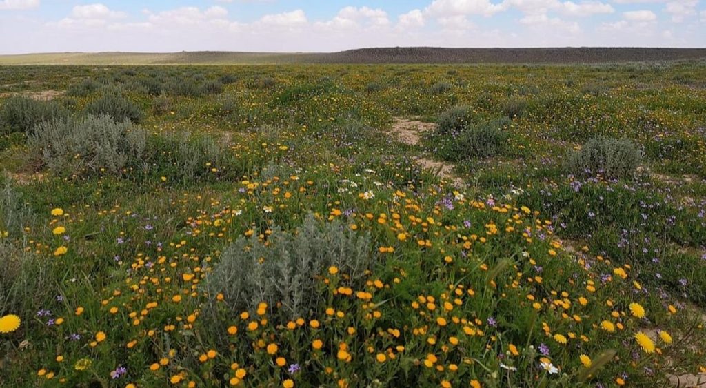 ajel2F2025 09 262Fuiscbr062FIMG20250926183554