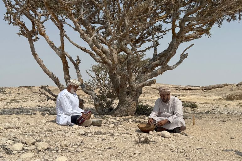 ذهب ظفار الأبيض.. حكاية اللبان من كنوز القوافل القديمة إلى عطور العالم الفاخرة 2 pvppv 4 1756802775