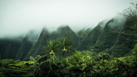 1760612450 image
