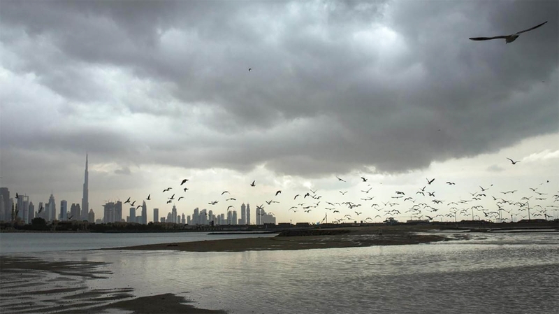 «الأرصاد»: ضباب وأمطار محتملة       1761343636 image