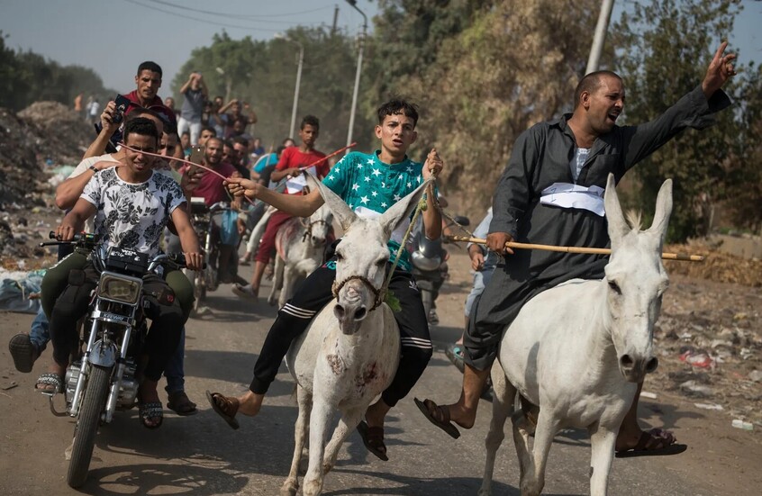 مصر.. مسؤول يحث على الجلوس مع الحمير لتحسين المزاج 1761678675 image