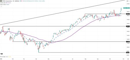 1761689938 664 image