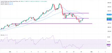 1761756748 539 image