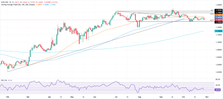 1761776544 293 image