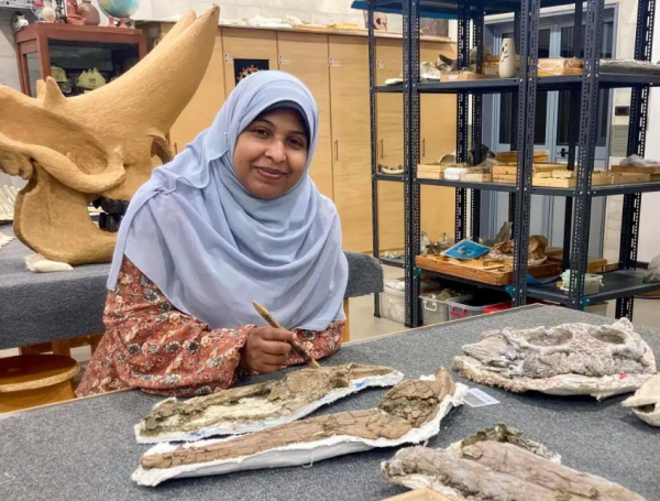 مصريون يعثرون على بقايا تمساح من عصر الديناصورات عمره 80 مليون سنة 1761802870 image