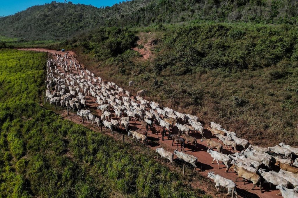 الأسواق والاقتصاد والبيئة يعملون معًا 1761845165 0x0