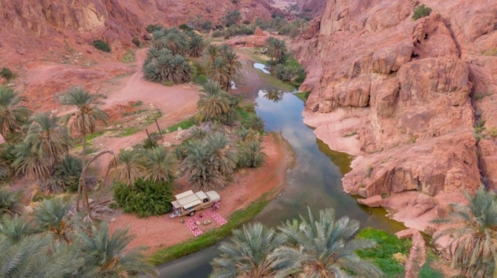 حائل.. من مشهد الطبيعة إلى شاشة العالم 2605327
