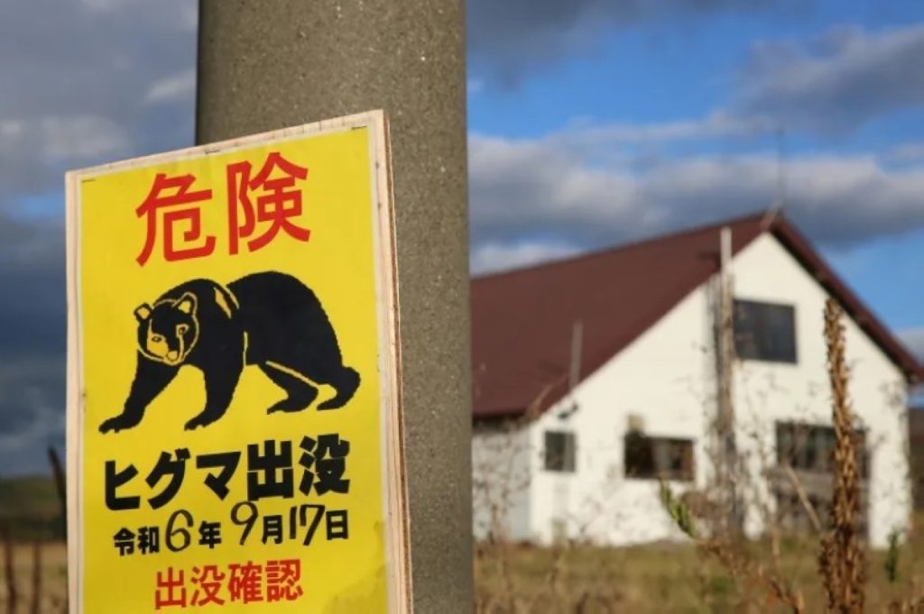 رعب في اليابان: الدببة تنذر بكارثة.. والجيش يتدخل! 2605973