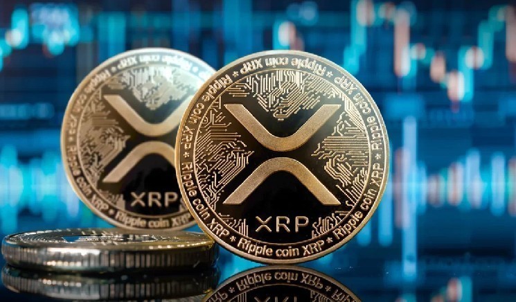 أصبحت شركة إدارة الأصول الرقمية Evernorth Holdings واحدة من أكبر حيتان XRP! هنا هي التفاصيل 2bdde1698543adbdc4dd98a8a29f9cee6271f4f7