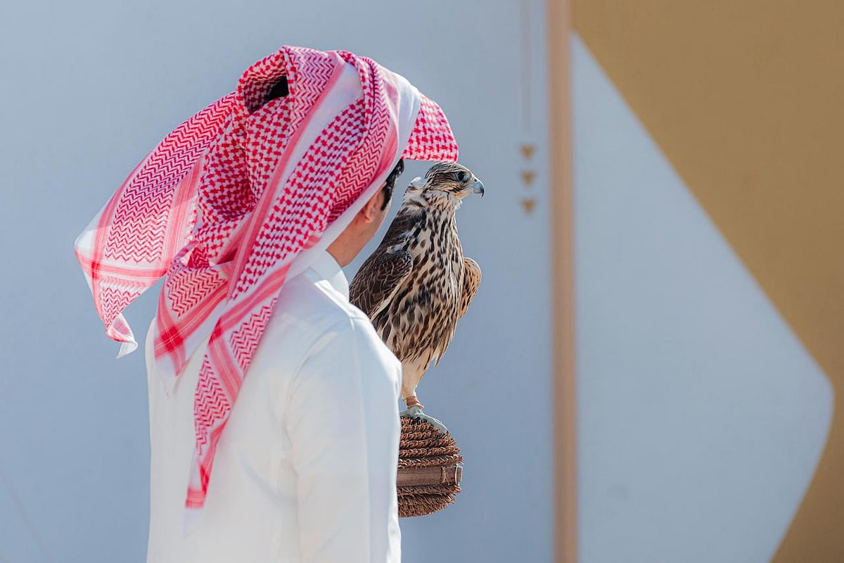الإنتاج المحلي تنتزع الصدارة في شوط (الحر) بسباق الملواح ضمن معرض الصقور والصيد السعودي الدولي 2025 1 WhatsApp Image 2025 10 09 at 23.23.1460436378