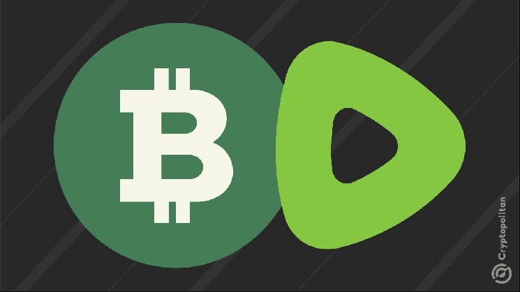 يدمج Rumble تحويلات Bitcoin مع Tether a193d0bfc80a25a6406f756a3ec4d0b2656b2b01.webp
