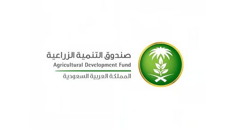 ajel2F2025 10 062Fmc3vjtbg2FD8B5D986D8AFD988D982 D8A7D984D8AAD986D985D98AD
