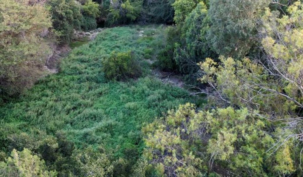 ajel2F2025 10 072F54ijks762FCapture