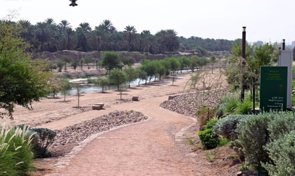 ajel2F2025 10 182Fsqg12rd52FCapture
