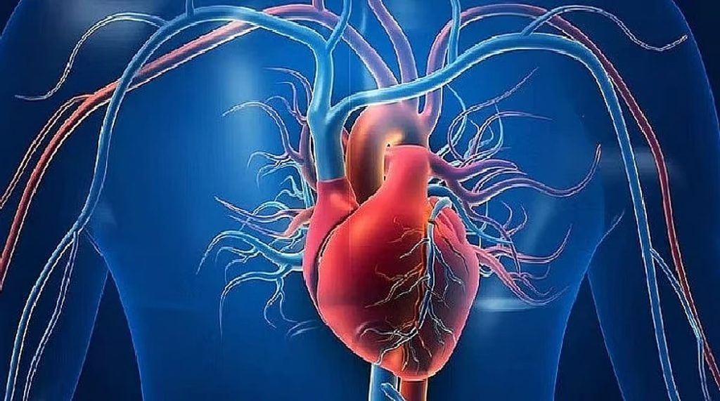 فهد الطبية توضح أعراض قصور عضلة القلب وأسبابه ajel2F2025 10 262Fpltfh1502Fajel2023 073af754b0 9335 4a24 9f32 df32d1dcbf38ajel202212418b4e934561
