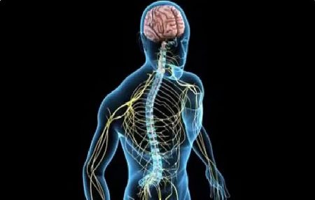 ajel2F2025 10 302Fmmqdc5ll2Fajel2024 08 29lruq7cw3ajel2023 059338a892 feaf 47a9 b693 b9b7f9c62ed8