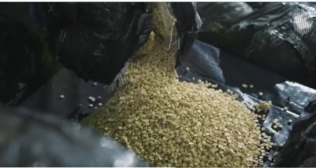 ajel2F2025 10 312Fe1d4uuki2FD8A7D984D8A5D985D98AD8AAD8A7D981D98AD986