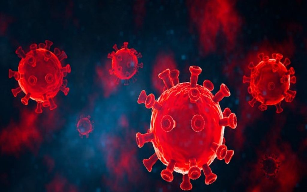 اكتشاف فيروس كورونا جديد في البرازيل قد يهدد بجائحة محتملة ajel2F2025 10 312Fhcx9dqry2FD981D98AD8B1D988D8B3