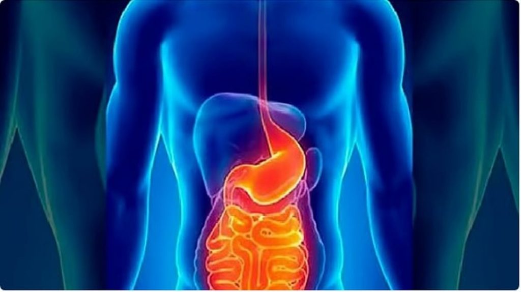 استشاري: 5 مشكلات بالجهاز الهضمي تؤدي إلى نقص الحديد في الجسم ajel2F2025 10 312Fxvl5i26h2FD8A7D984D8ACD987D8A7D8B2 D8A7D984D987D8B6D985D