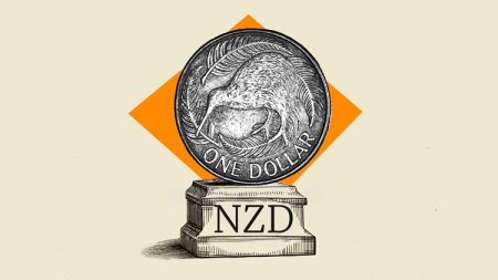 currency nzd Large