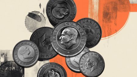 turkish lira 02 Large