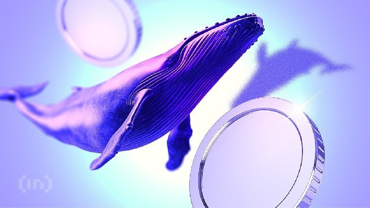 MEXC تصدر اعتذارًا علنيًا لشركة White Whale، وتعيد 3 ملايين دولار من الأموال المجمدة 0efd596833c3c6fa555c60a3b9f8ee33b0154633