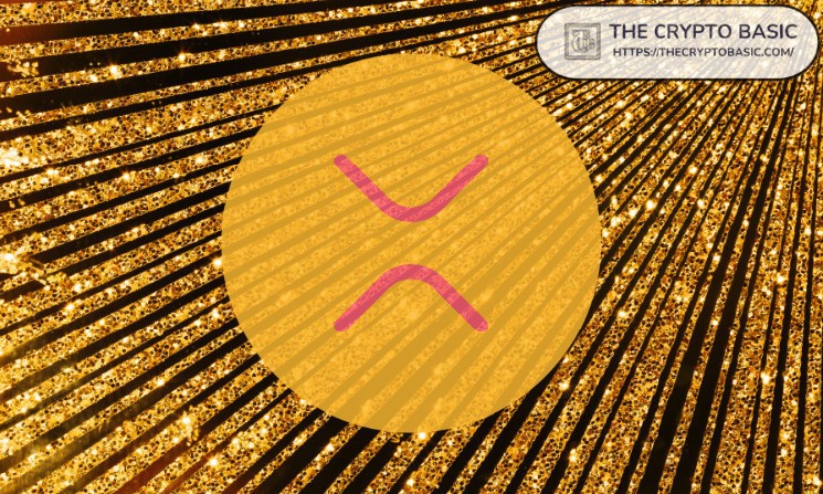 يشرح مؤسس العملات المشفرة الجزء الأصعب من امتلاك XRP 11903bfbd58cffb6f7f5cfb1e7a884fe728b803d