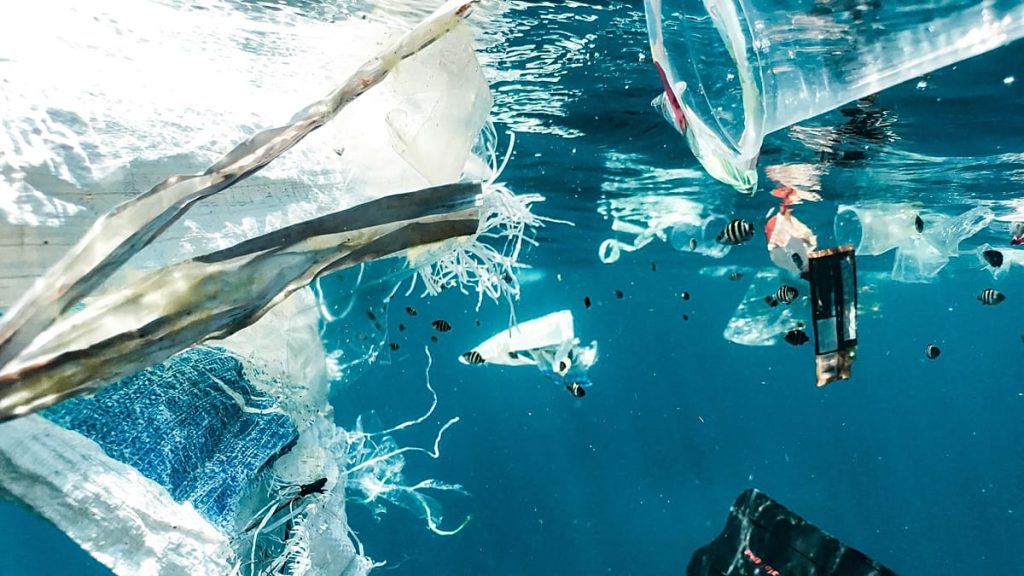 1200x675 cmsv2 00a460c7 f713 54aa 9d70 288ffcbbfd08 9551705