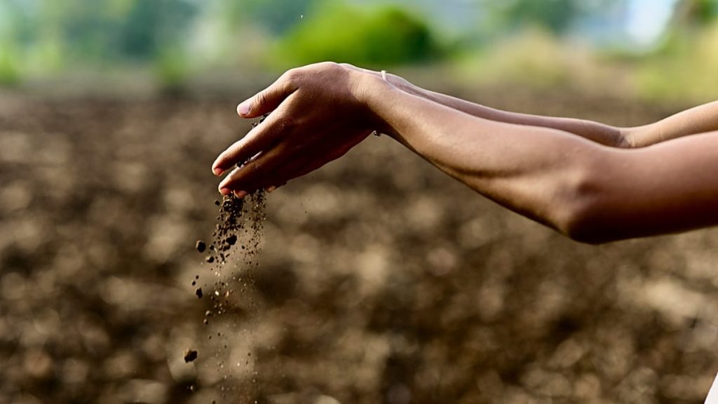 كيف يمكن أن تكون التربة السلاح السري لتحقيق الأهداف المناخية 1200x675 cmsv2 b3f4f137 7b1c 5f48 a5d9 b47dd12eee5e 9554615