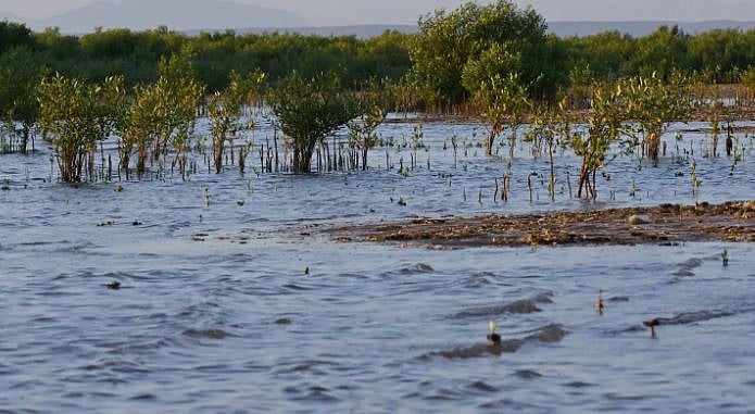 1762017035 392 Capture