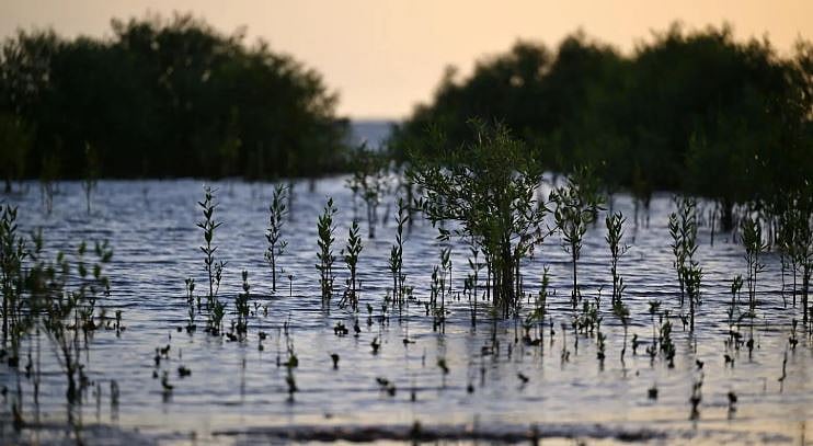 1762017035 406 Capture