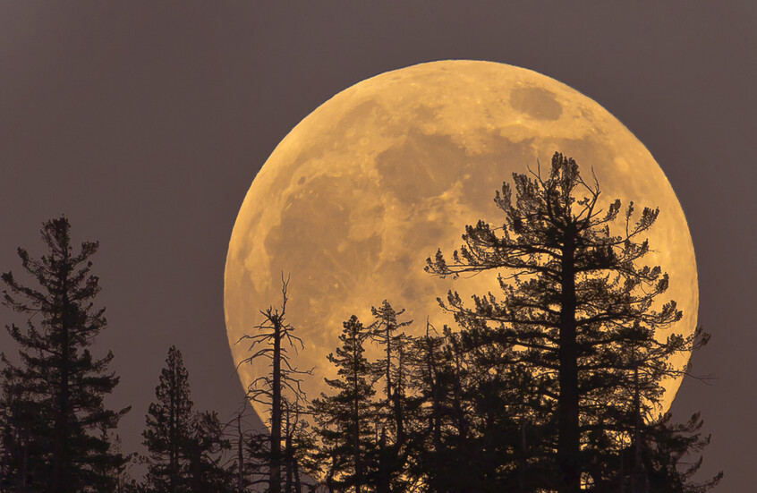 قمر القندس العملاق.. الأقرب لكوكب الأرض هذا العام 1762250436 image