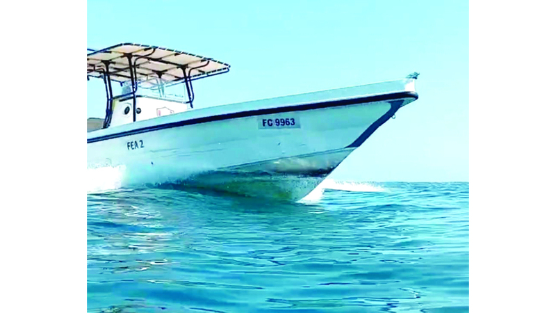 ضبط 6 قوارب صيد مخالفة بمحمية جزيرة الطيور في دبا الفجيرة 1762314178 image